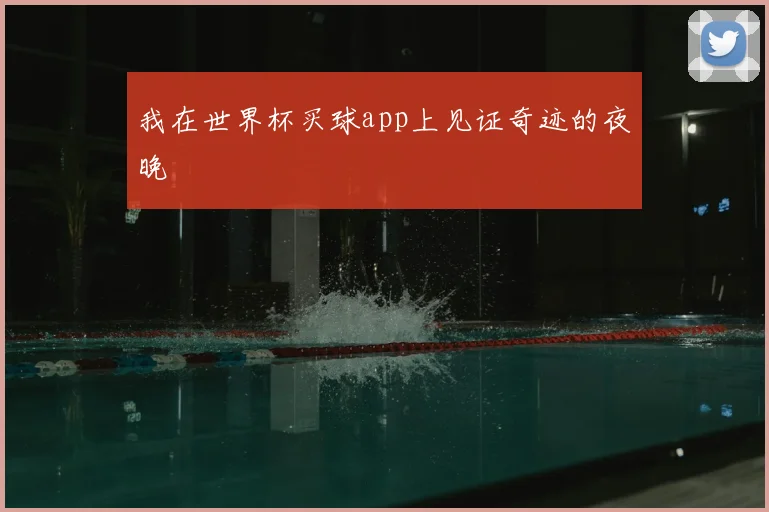 我在世界杯买球app上见证奇迹的夜晚