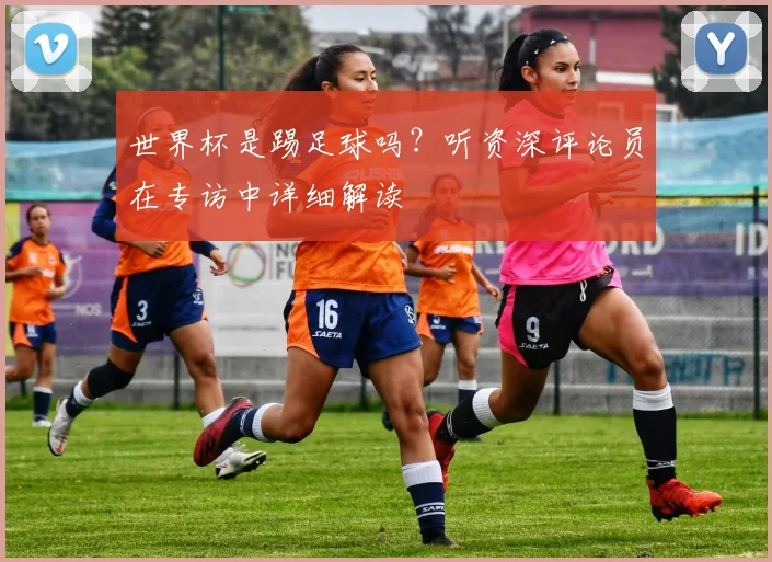 世界杯是踢足球吗？听资深评论员在专访中详细解读
