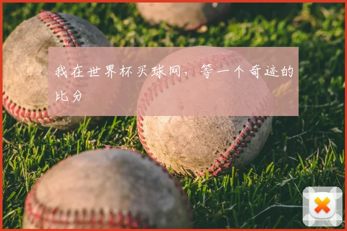 我在世界杯买球网，等一个奇迹的比分